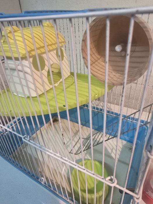 Gaiola para amester