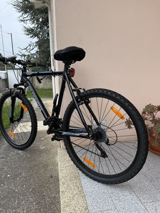 Bicicleta Muddyfox Anarchy 100