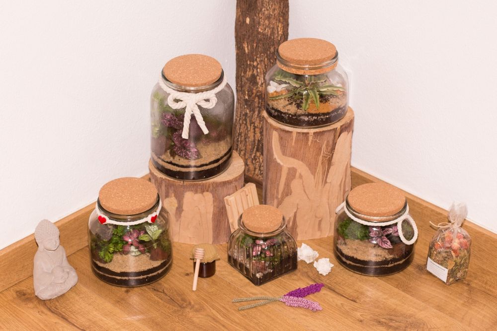 Terrários - vários tamanhos