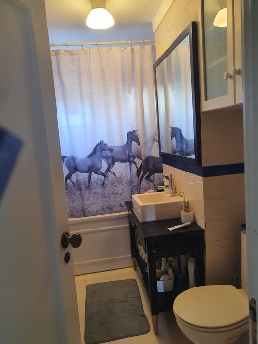 Quarto estudantes metro Olivais/Expo-390€ despesas incluídas