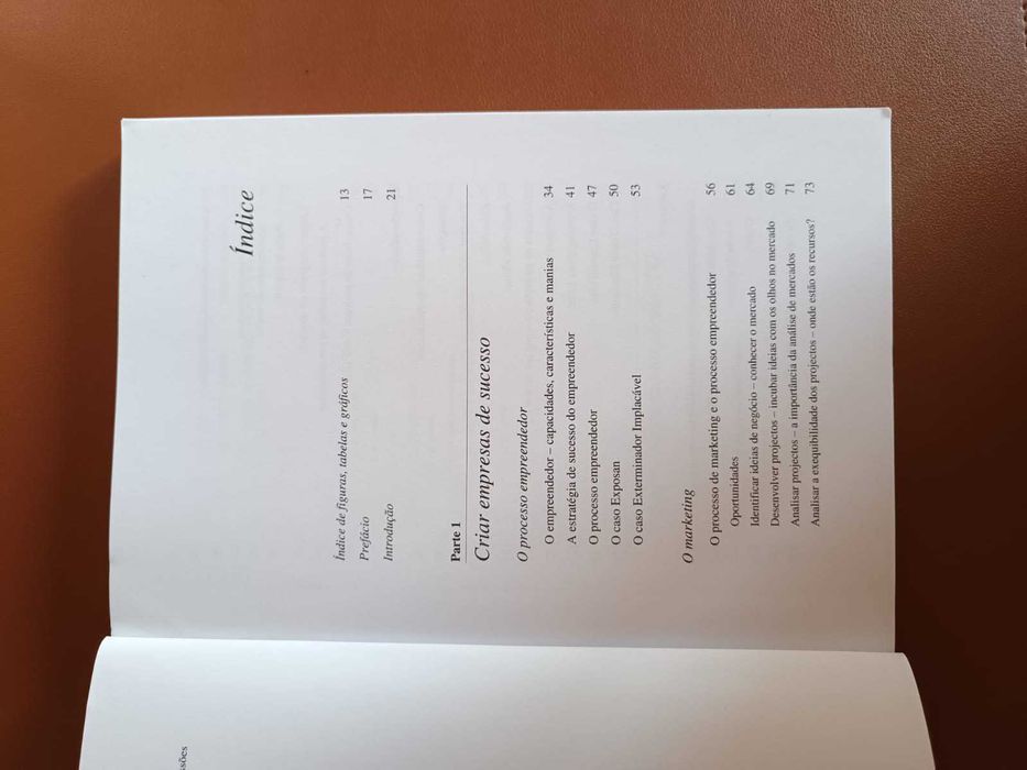 O processo Empreendedor e a Criação de Empresas de Sucesso