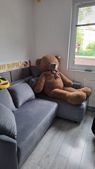 Miś  pluszowy Gustaw