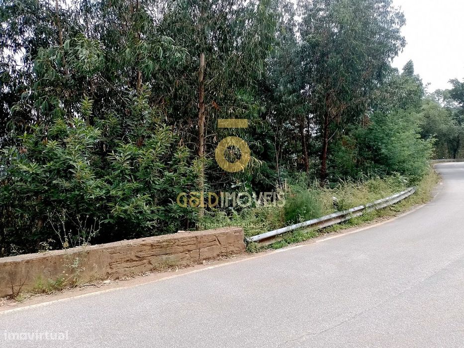 Terreno Rústico  Venda em Raiva, Pedorido e Paraíso,Castelo de Paiva