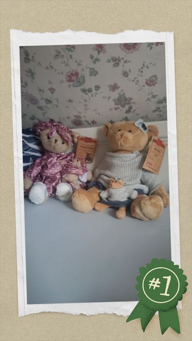 Misie kolekcjonerskie fundacji TVN