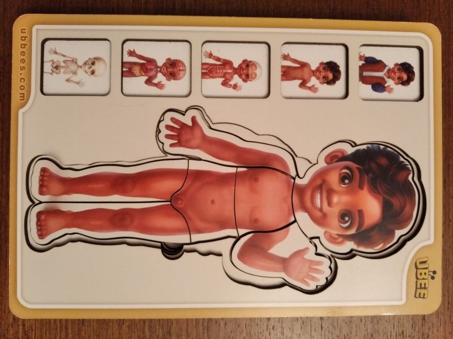 ПАЗЗЛЫ "Анатомия. Организм человека. Строение тела"