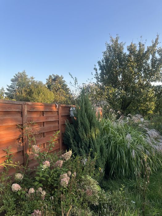 Ogródek ROD Pstrowskiego Bytom 340m2