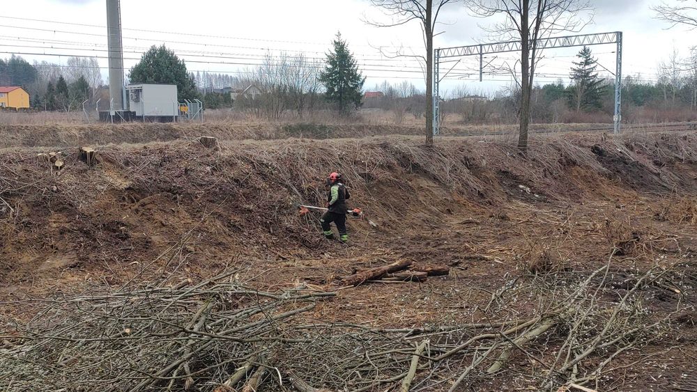 Oczyszczanie działek, Mulczer leśny, Karczowanie, Rekultywacja terenu
