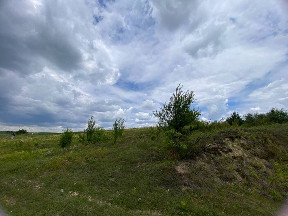 Продаж земельної ділянки у м. Шумськ