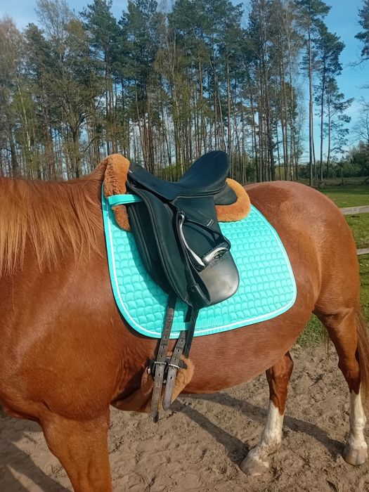 Podkładka pod siodło mattes vs M