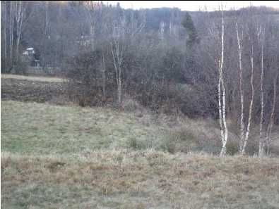 syndyk sprzeda nieruchomości rolno leśne