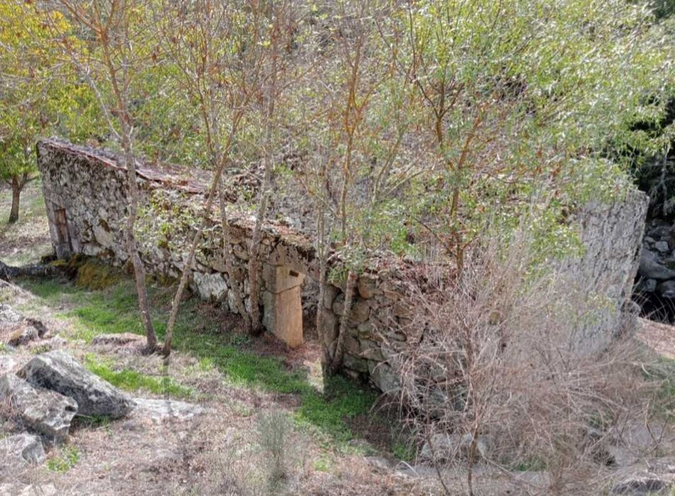 Terreno Lamego com Moinho