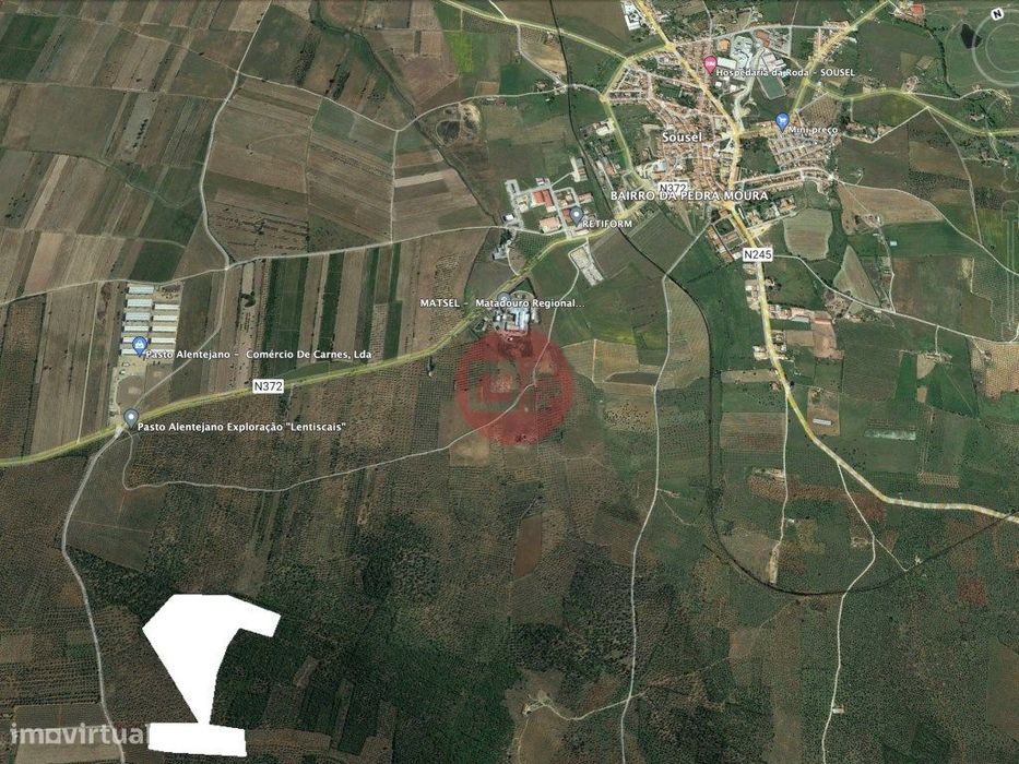 Terreno destinado a Olival — Casa Branca, Portalegre