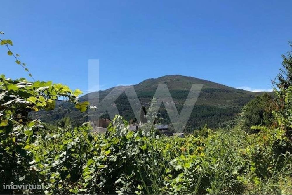 Rustic Plot of 1800 m2 – Construction Possible.