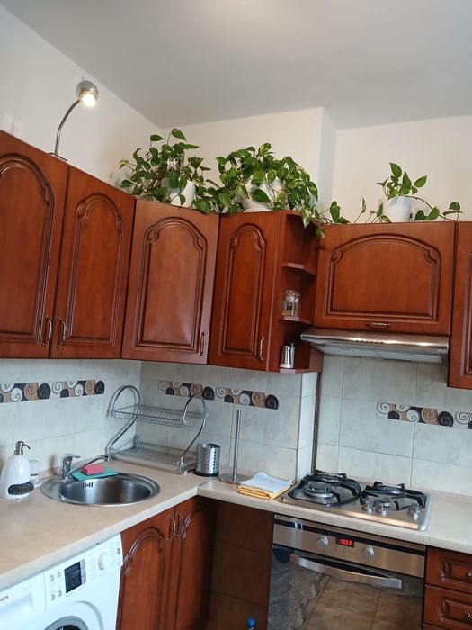 Mieszkanie – 1 duży pokój, bardzo jasne i słoneczne – 43 m² ul. Rydygiera, Śródmieście - Widok 3
