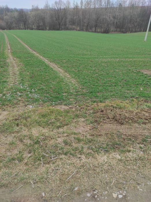 Sprzedam działki Bistuszowa
