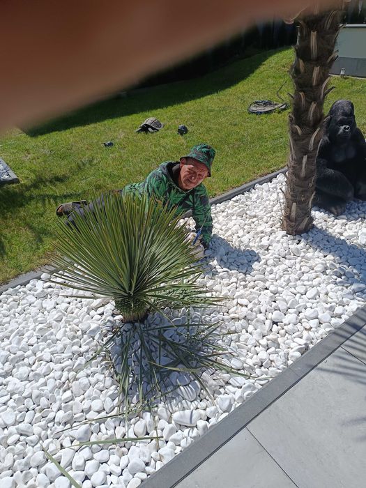 Świadczenie usług ogrodniczych