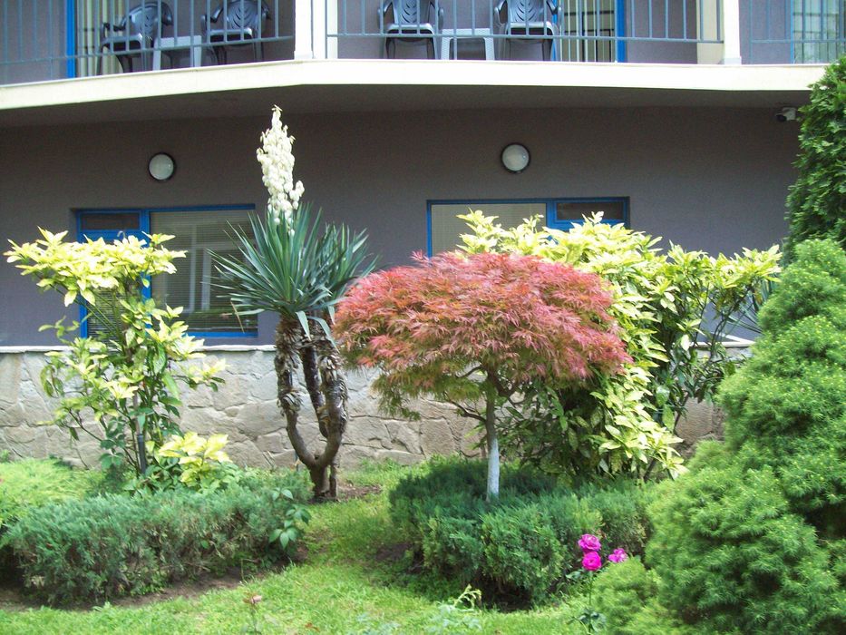 Отдых в Болгарии, центр Солнечного Берега, комфортная студия, аренда