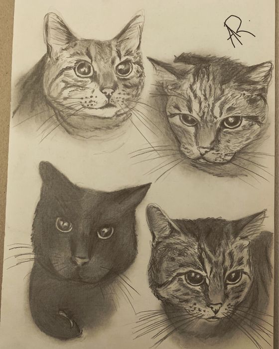 Retratos e ilustrações a preto e branco ou a cores