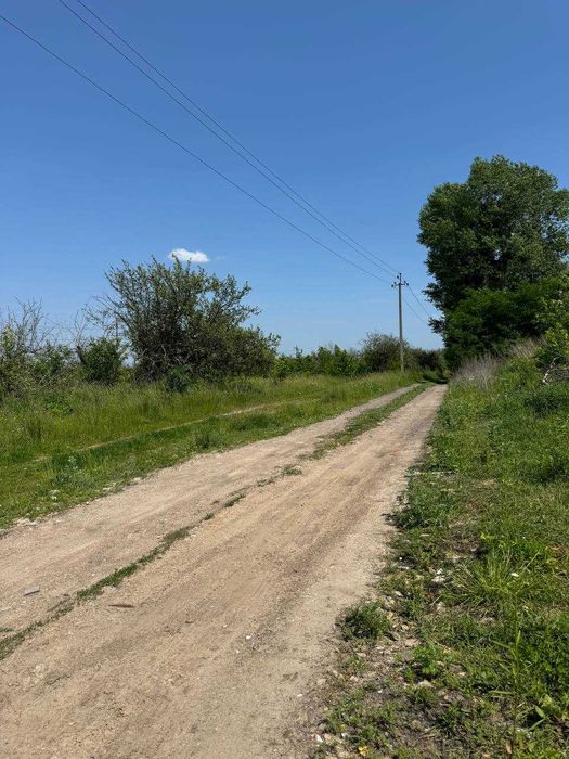 Без% Земля ділянка 16.61 сот с. Тарасівка Фастівський р-н м. Теремки