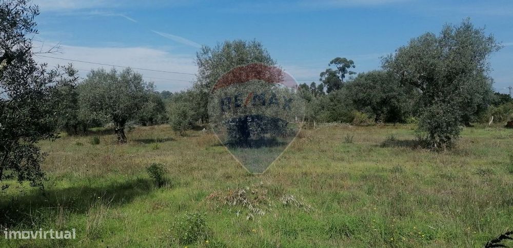 Terreno  para venda — Vacariça, Aveiro
