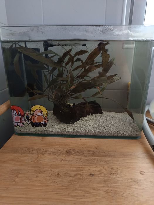 Aquário aquael 30 LT completo