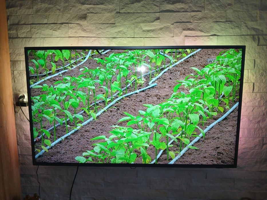 Telewizor Philips 55 cali ambilight