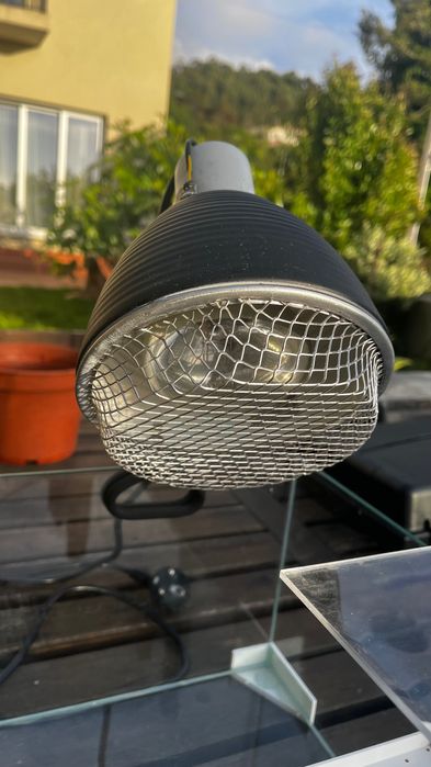 Aquários para peixes ou répteis, tartarugueira e equipamento