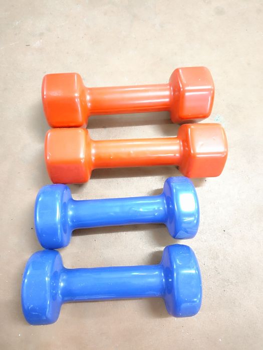 2 Pares de Halteres (2kg + 1,5kg)