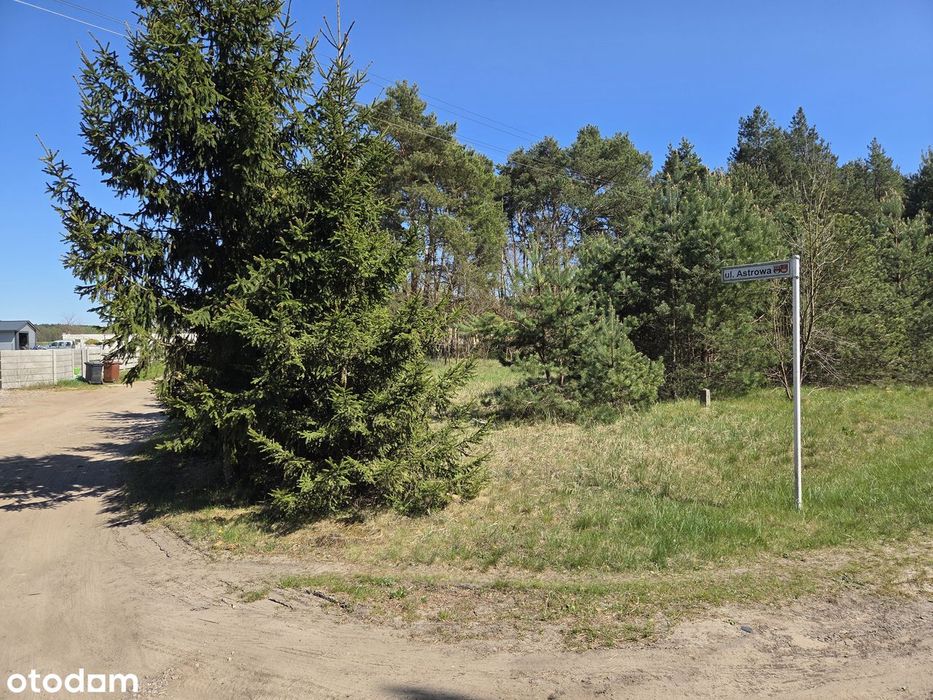 Działka pod zabudowę mieszkalną jednorodzinną Czmoniec, gm. Kórnik - Widok 2