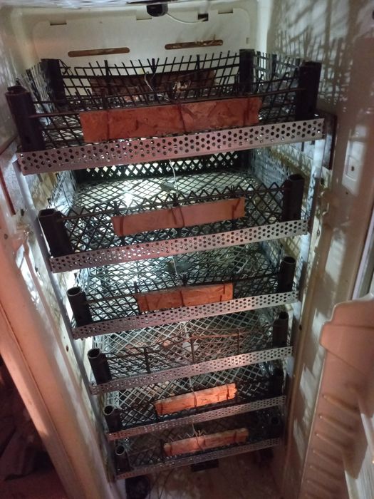 Продам інкубатор і брудера