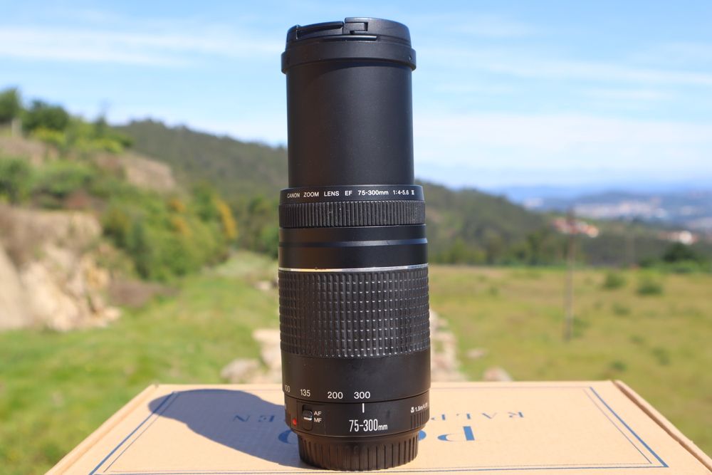 Canon EF 75-300mm F/4-5.6 III