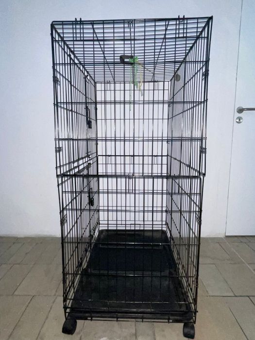 Gaiola de recreio para gato