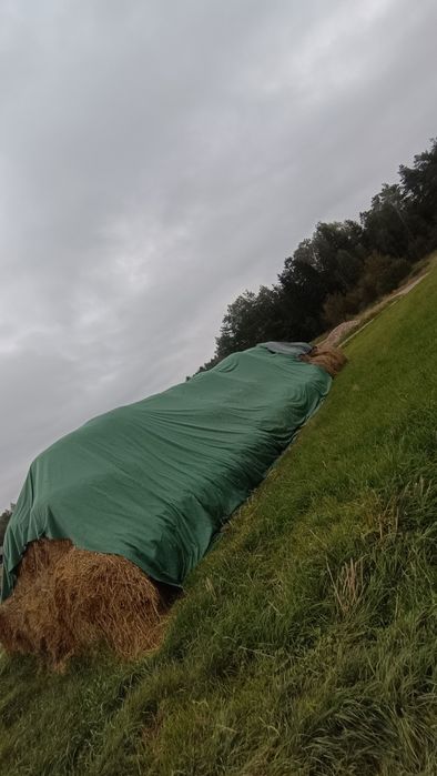 Sprzedam słome tegoroczną