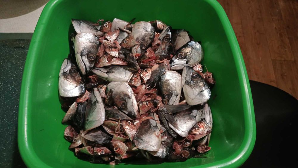 Консерви для котів (натур продукт) 0,5кг