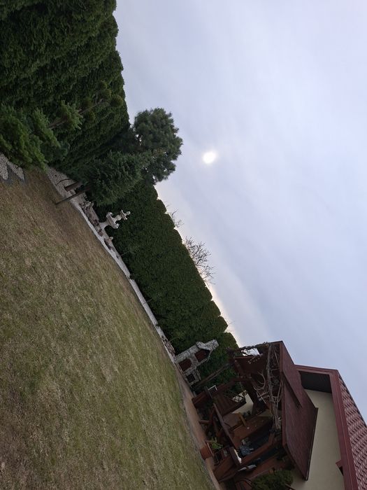 Usługi ogrodnicze i porządkowe