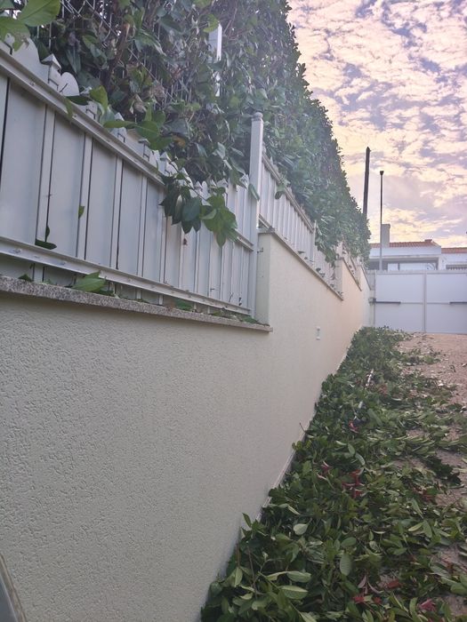 Jardinagem e Limpeza de terrenos