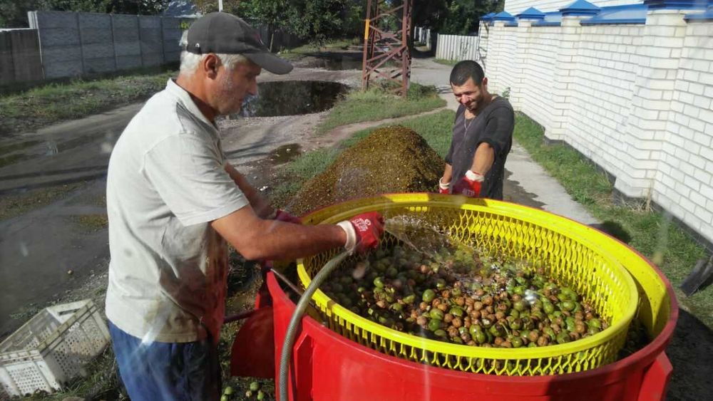 Продам установку для мийки та очистки грецьких горіхів