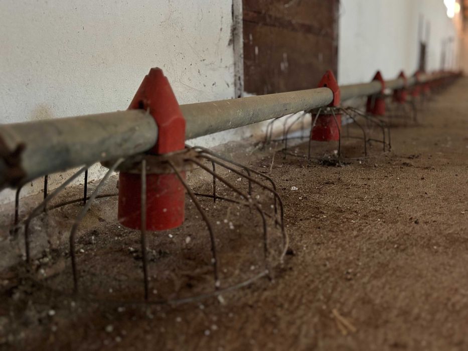Venda de Equipamentos de Aviário – Casével, Santarém