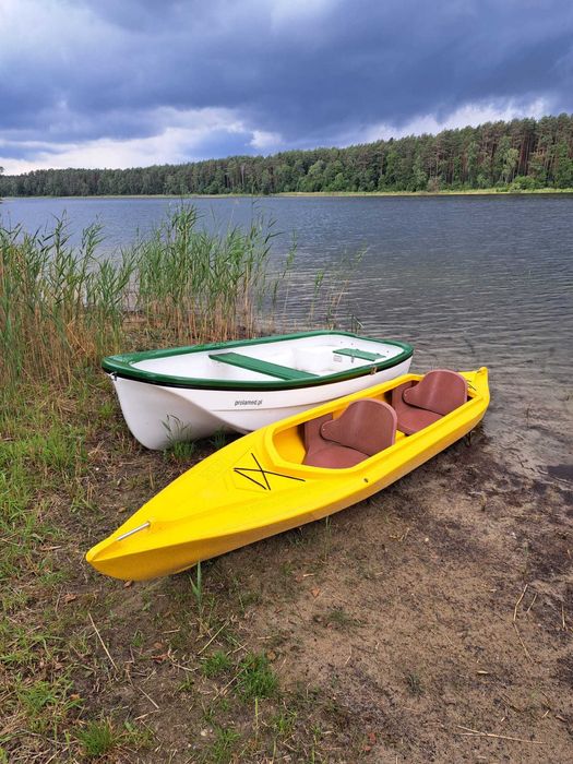 Domek nad jeziorem. Bory Tucholskie.  Las, ryby, grzyby.