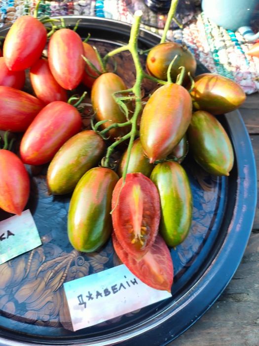 Набір насіння томатів "Український"