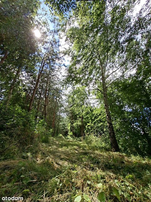Przytulny dom z dużym OGRODEM WŚRÓD DRZEW•1h->Warszawy•30min.-> Płocka