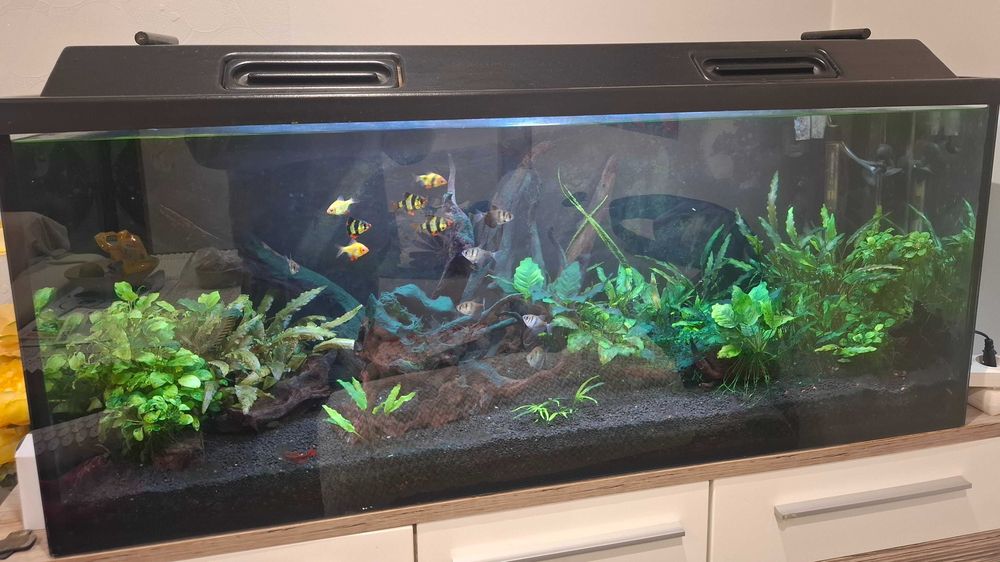 Akwarium 240l sprzedam.