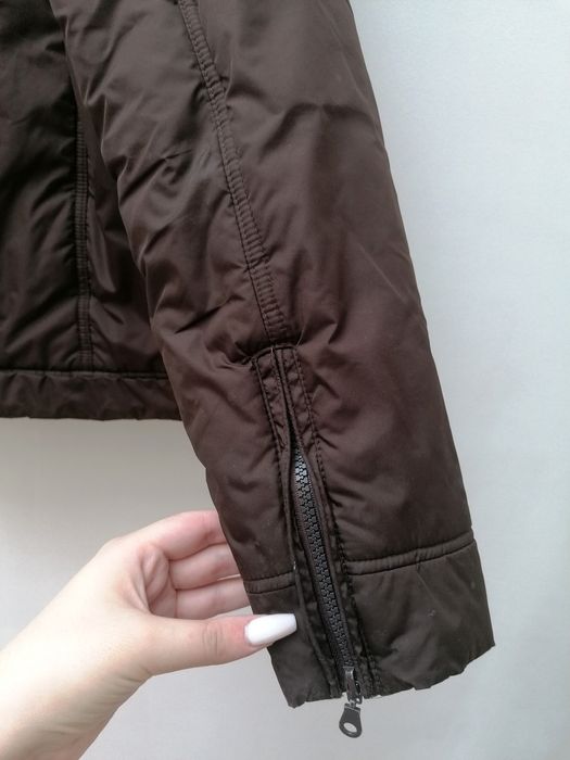 Quispo Fino Castanho