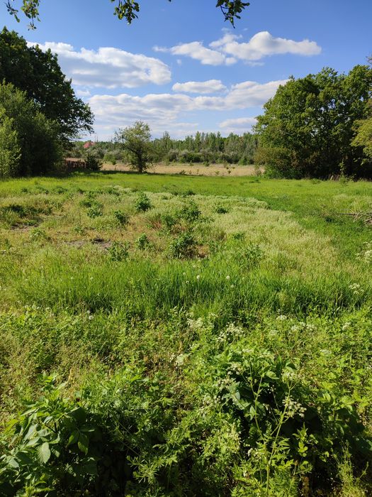 Продам участок,орловщина