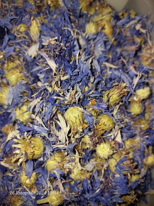 Chaber bławatek niebieski koszyczek 200 g zbiór Sudety