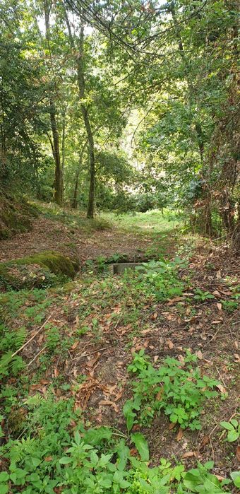 Quintinha em Amarante