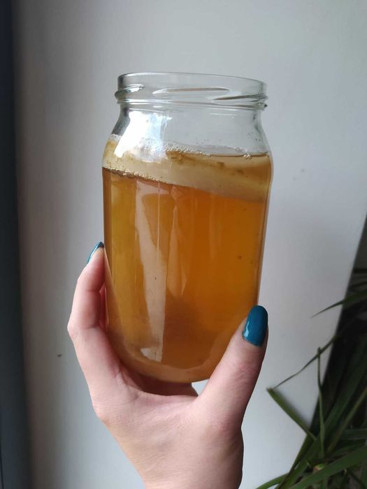 Kombucza, kombucha, grzybek herbaciany, scoby - grzybek + starter