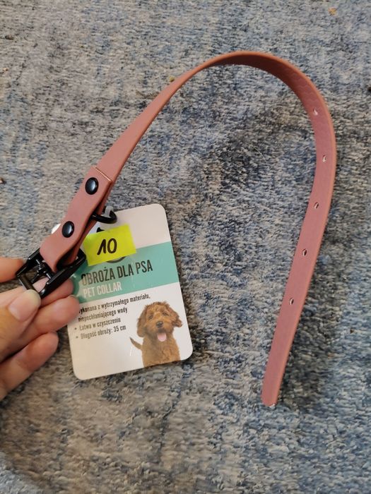 Obroża dla psa nowa