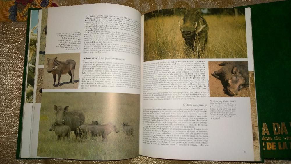 5 livros cronicas' A Aventura Da Vida' Felix Rodrigues La Fuente