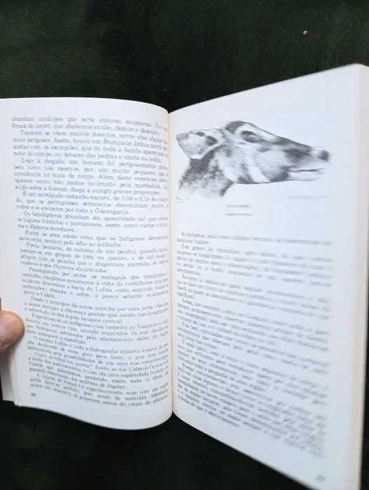 De Angola à contracosta –  vol 2 (Ed. de bolso) Antigo*
